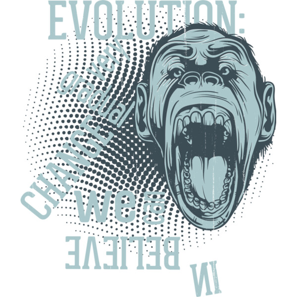 2016 03 14 027 Thumbnail